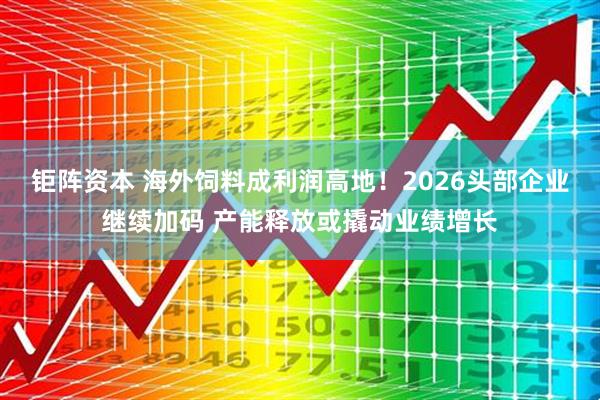 钜阵资本 海外饲料成利润高地！2026头部企业继续加码 产能释放或撬动业绩增长