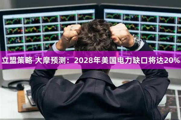 立盟策略 大摩预测：2028年美国电力缺口将达20%