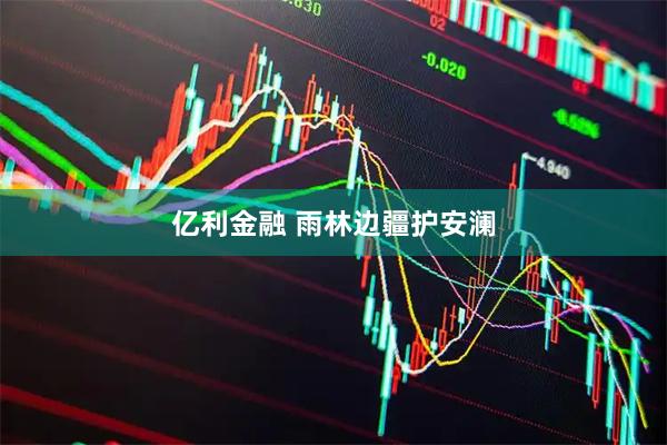 亿利金融 雨林边疆护安澜